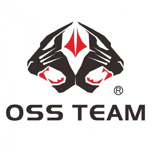 OSS TEAM